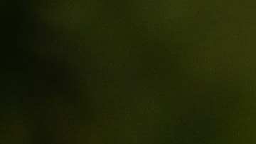 Tesla retira 700.000 autos por fallo en los neumáticos