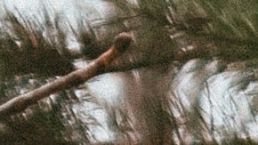 Accesorios navideños para los carros