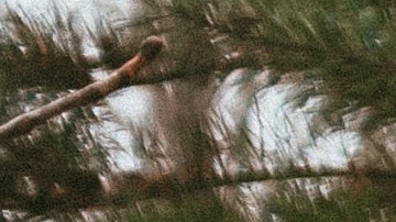 Accesorios navideños para los carros