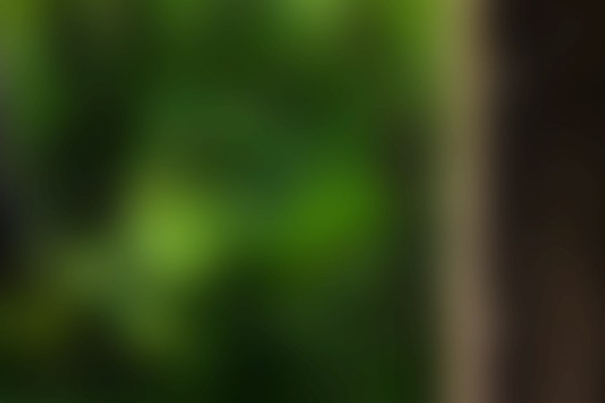 Los autos más peligrosos según estadísticas de accidentes