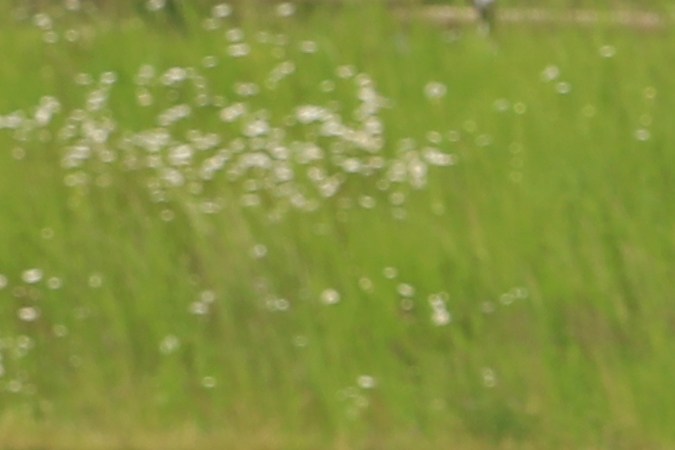 Ahorra sin sacrificar estilo: los mejores autos usados premium