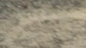 Por qué los autos ya no ofrecen variedad de colores como antes