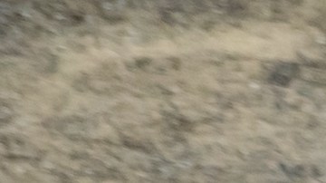 Por qué los autos ya no ofrecen variedad de colores como antes