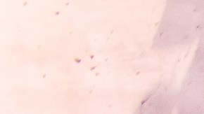 seat tarraco: dónde se fabrica