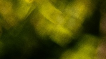 Qué hacer si se rompe el embrague del auto mientras conduces