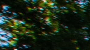 Las personas tienen malos hábitos de conducción en EE.UU.