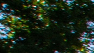 Las personas tienen malos hábitos de conducción en EE.UU.