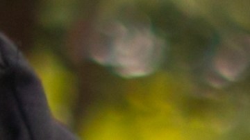 Tipos de limpiaparabrisas para autos