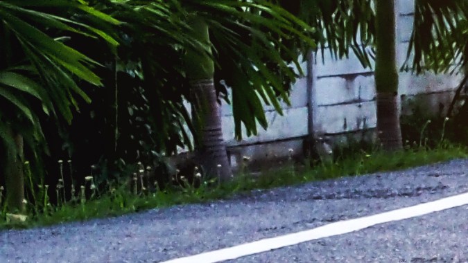 Diferencias entre líneas amarillas continuas y discontinuas