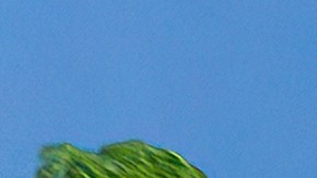 Diferencias entre líneas amarillas continuas y discontinuas