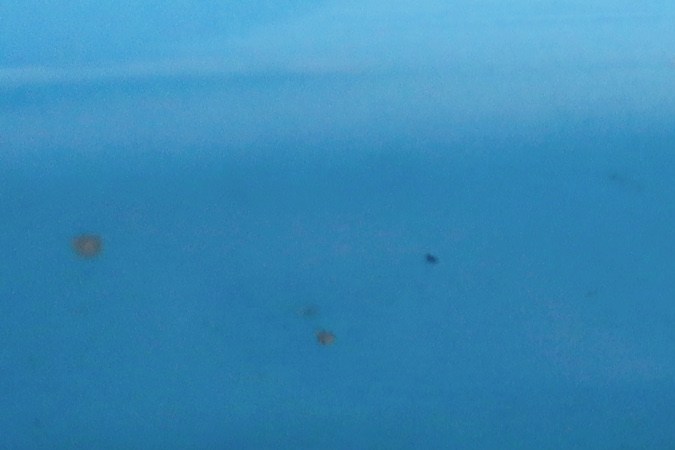 ¿Olor a gasolina provoca cáncer?