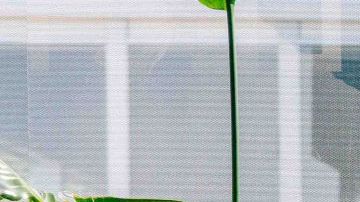 Pirelli Cyber Tyre: el neumático del futuro