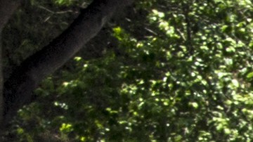 Un radar que ve más allá: el enemigo de las malas decisiones