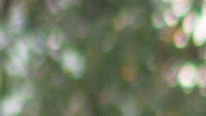 Aseguranza de Carro para viajar a México