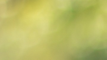 que significa una señal naranja triangular