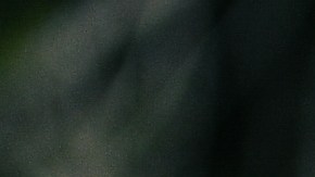 camionetas usadas confiables