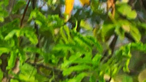 Pendientes angostas: quién tiene el derecho de paso