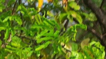 Pendientes angostas: quién tiene el derecho de paso