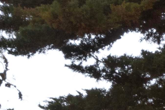 Los 10 mejores autos del 2024 según Consumer Reports