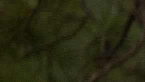 La Ford Ranger 2024 se lleva el galardón más prestigioso