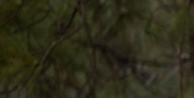 La Ford Ranger 2024 se lleva el galardón más prestigioso