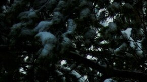 Audi Q6 e-tron offroad: un concepto de otro planeta