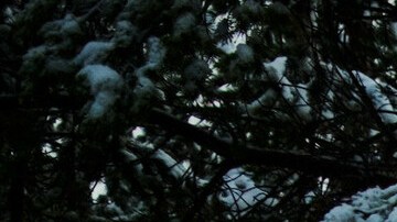 Audi Q6 e-tron offroad: un concepto de otro planeta