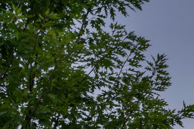 Los 10 Audi más veloces que han marcado la historia