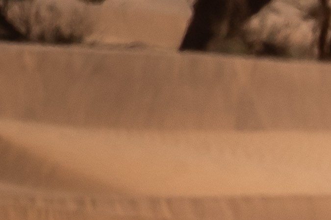 Carros históricos que han ganado el Rally Dakar