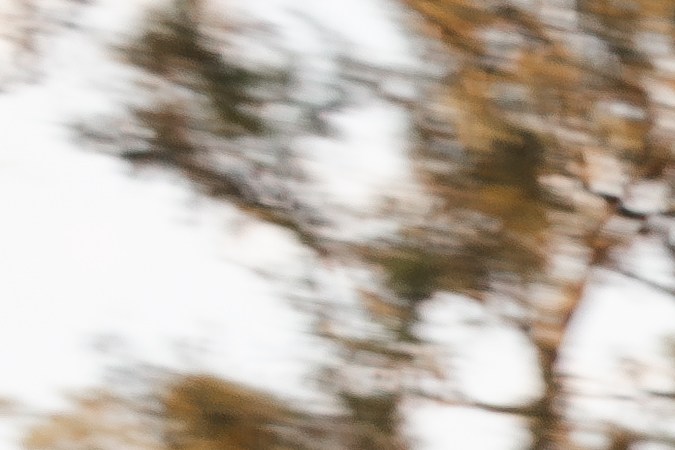 BMW M3 CS Touring: sensaciones de pista para la familia