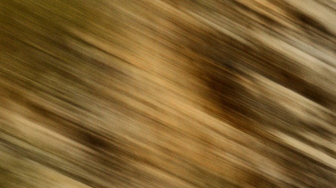 BMW M3 CS Touring: sensaciones de pista para la familia