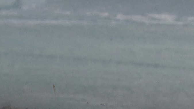 BMW M3 CS Touring: sensaciones de pista para la familia