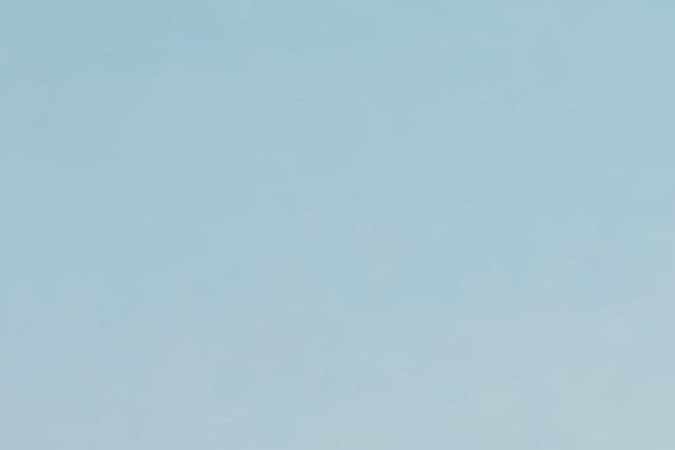 Los 10 mejores autos del 2024 según Consumer Reports