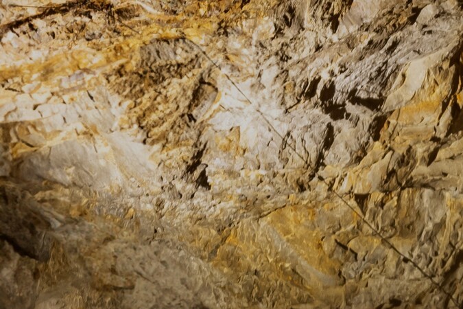 Cupra llega a Estados Unidos con su propio concesionario