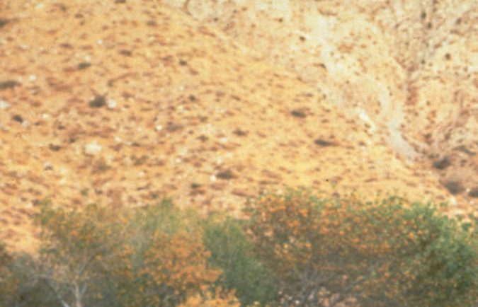 Las 5 sorpresas del Salón del Automóvil de Tokio 2025