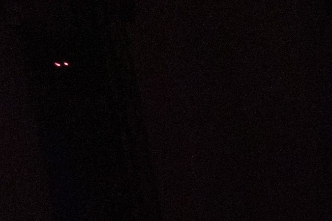 Cupra llega a Estados Unidos con su propio concesionario