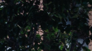 NVIDIA desmiente a Tesla: El robotaxi en 2026 es imposible