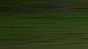 Dodge volvió a vender un Viper en 2024. Se trató de un modelo exclusivo.