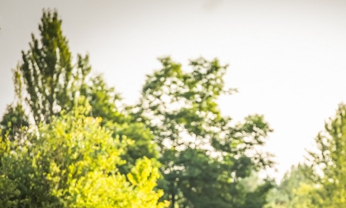 Ferraris low-cost: el lujo italiano con presupuesto ajustado