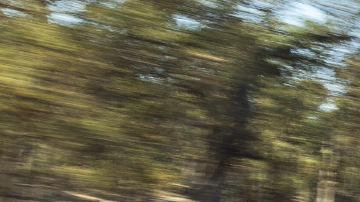 300,000 camionetas Ford Super Duty retiradas: secuelas del COVID-19