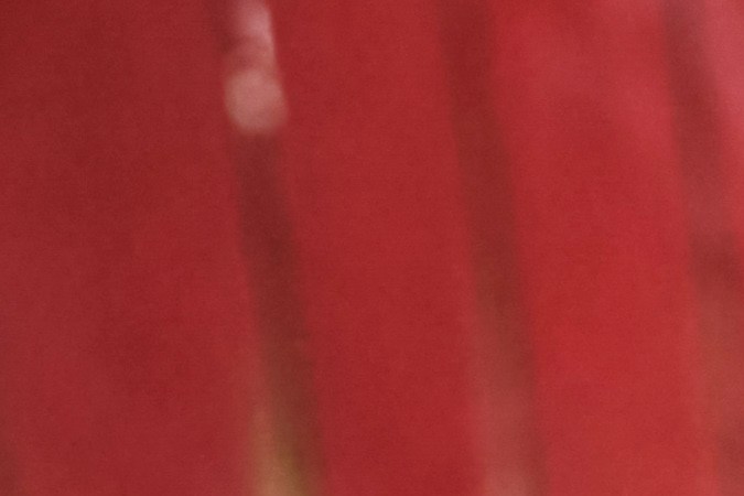 Qué hace tan especiales a los Scout Terra y Traveler 2028