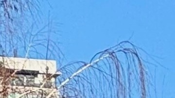 Cómo un simple peaje está mejorando la calidad de tráfico en Nueva York