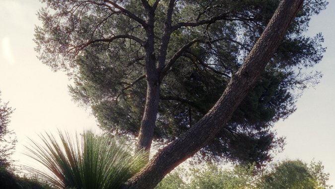 Porsche 911 Carrera S 2025: más potencia actualizada