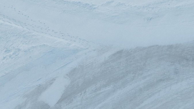 Un derrape de 46 minutos: el nuevo récord para Porsche