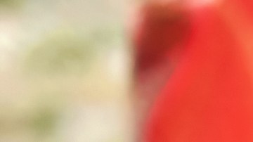 Qué es un accidente de rideshare