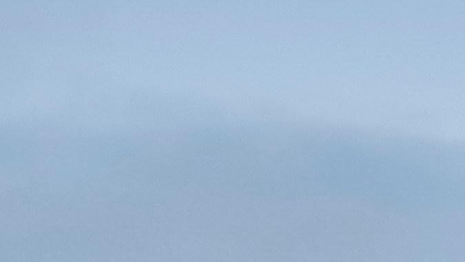 Qué hace tan especiales a los Scout Terra y Traveler 2028