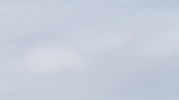 Shelby revive el poderoso Mustang GT350