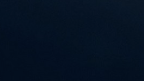 Conoce el "modo pesca" del auto Xiaomi: olvídate del mal olor