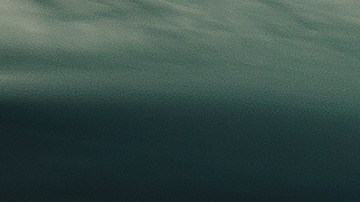 autos más vendidos historia