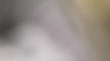 Vaselina o almorol: cuál es mejor para tus llantas